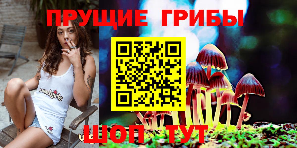 Галлюциногенные грибы прущие грибы Протвино