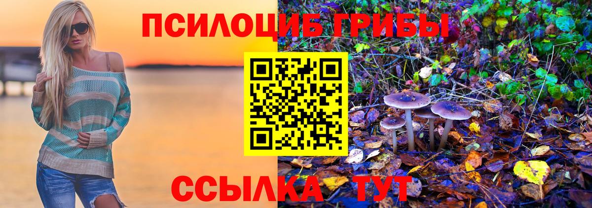 Протвино  Галлюциногенные грибы Magic Shrooms  наркотики  Вход с VPN 